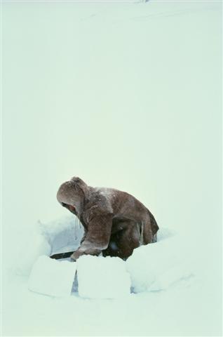 Indigenous lifestyle