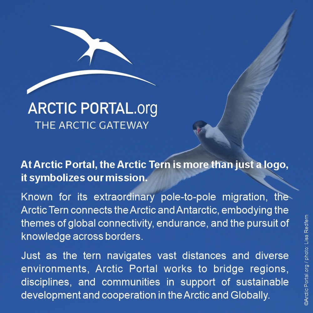 Arctic Tern - Arctic Portal - Quick Facts