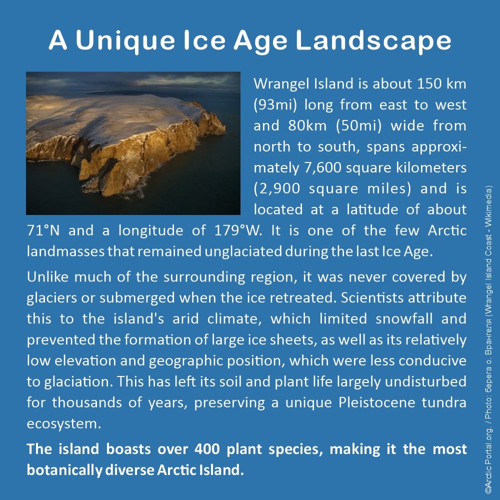 Wrangel Island - A Unique Ice Age Landscape