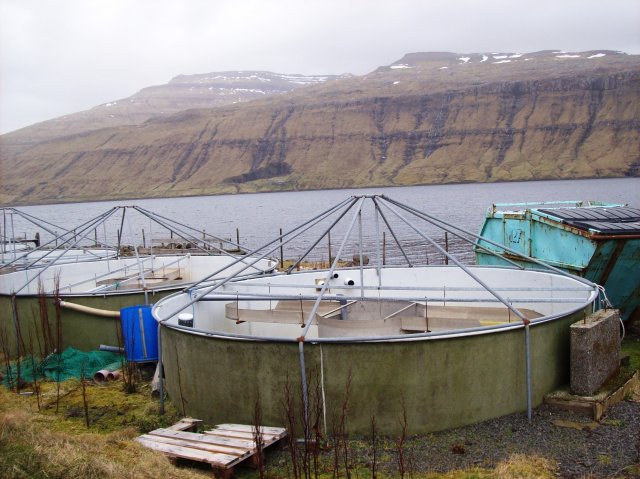 Fiskaaling research station